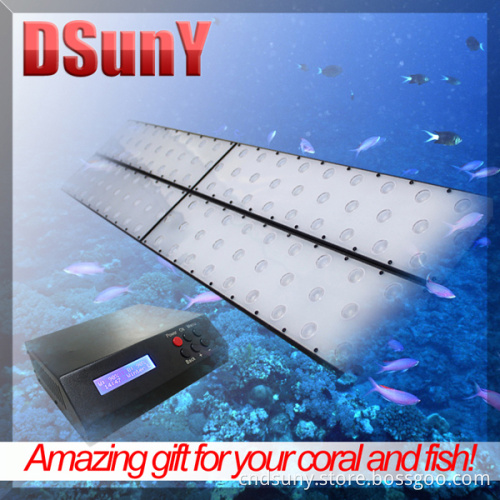 Programmable LED Aquarium Light for Reef Coral, No Fan Noise, Sunrise/Sunset/Lunar, 28/56/112*3W